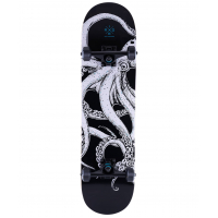 Скейтборд Octopus 31.65″X8″ Ridex